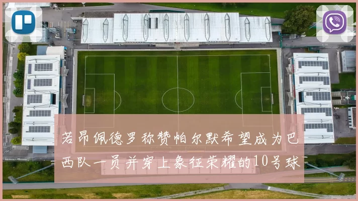 若昂佩德罗称赞帕尔默希望成为巴西队一员并穿上象征荣耀的10号球衣